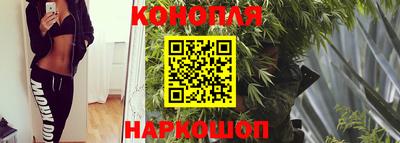 крисы Донецк