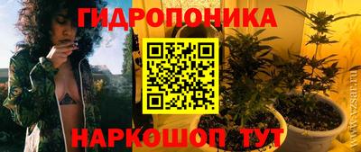 стафф Донской