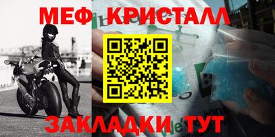 стафф Донской